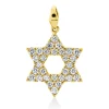 Anhänger aus 585 Gold Gelbgold 30 Brillanten 0,33ct W-SI/PI 18,5x11,5mm mit Öse