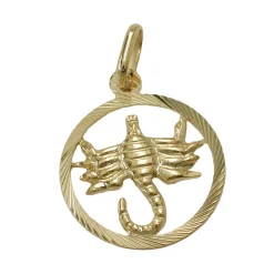 Anhänger 15mm Kettenanhänger Sternzeichen Skorpion aus 375 Gold Gelbgold Unisex