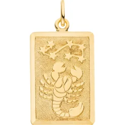 Anhänger Sternzeichen Skorpion 333 Gold Gelbgold mattiert rechteckig 20,8x12,1mm