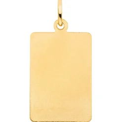 Anhänger Sternzeichen Steinbock 333 Gold Gelbgold matt rechteckig 20,8x12,1mm