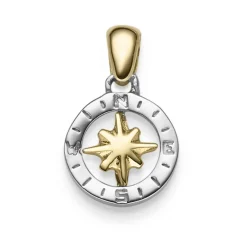 Anhänger Windrose Kompass 18x12mm aus 585 Gold Gelbgold Weißgold glänzend