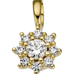 Anhänger 6,5x10,9mm aus 333 Gold Gelbgold Stern mit 9 weißen Zirkonia Damen