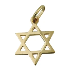 Anhänger 21x18mm David Stern aus echtem 375 Gold Gelbgold glatt Unisex