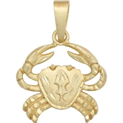 Anhänger 20,4x21,4mm Krebs Horoskop Sternzeichen 925 Silber vergoldet mattiert