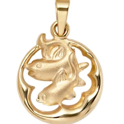Anhänger 15x18mm Sternzeichen Fische 375 Gold Gelbgold teilmattiert Horoskop