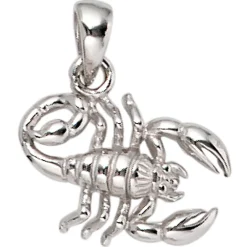 Anhänger 13,4x11,2mm Sternzeichen Skorpion aus 925 Echt Silber glänzend Unisex