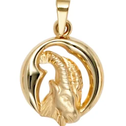 Anhänger 14,8x19,3mm Sternzeichen Steinbock 375 Gold Gelbgold Horoskop