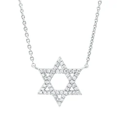 Collier David Stern aus 750 Weißgold 48 Brillanten 0,2ct W-SI L:45cm