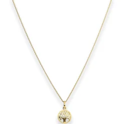 Collier Rund-Ankerkette Kette Lebensbaum Halskette aus 585 Gold Gelbgold 42cm