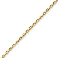 2,5mm Armband Armkette Ankerkette aus 585 Gold Gelbgold, 19cm, Unisex