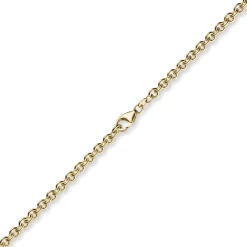 4,6mm Armband Armkette Rundankerkette 750 Gold Gelbgold, 19cm Unisex
