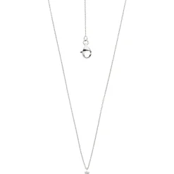 2,5mm Collier Ankerkette mit Solitär Diamant 0.07Ct W/SI 585 Gold Weißgold 45cm