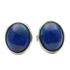 Ohrstecker Ohrschmuck aus Lapis-Lazuli & 925 Silber rhodiniert oval dunkel-blau