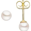 Paar Ohrstecker mit Akoya Perlen 4mm rund 585 Gold Gelbgold Ohrschmuck Damen