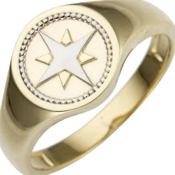 Ring aus 585 Gold Gelbgold bicolor mit Windrose Kompass rund flach Goldring