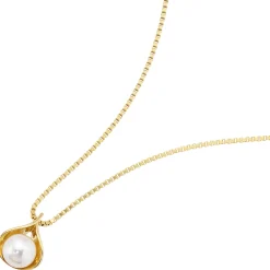 Schmuck Anhänger 13,5x17,9mm aus 585 Gold Gelbgold mit Süßwasser-Zuchtperle