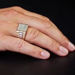 Siegelring Herrenring aus 585 Gold Gelbgold Weißgold flach Ring für Männer