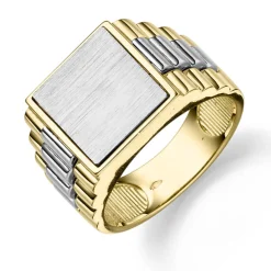 Siegelring Herrenring aus 585 Gold Gelbgold Weißgold flach Ring für Männer