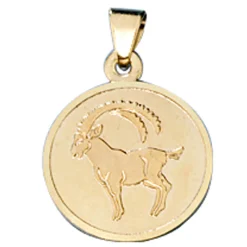 Steinbock Ketten Anhänger Goldanhänger 333 Gold rund Halsschmuck Unisex