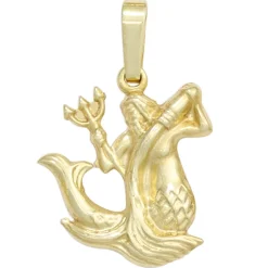 Sternzeichen Anhänger 13,7x16,2mm Wassermann 333 Gold Gelbgold Einhänger Damen